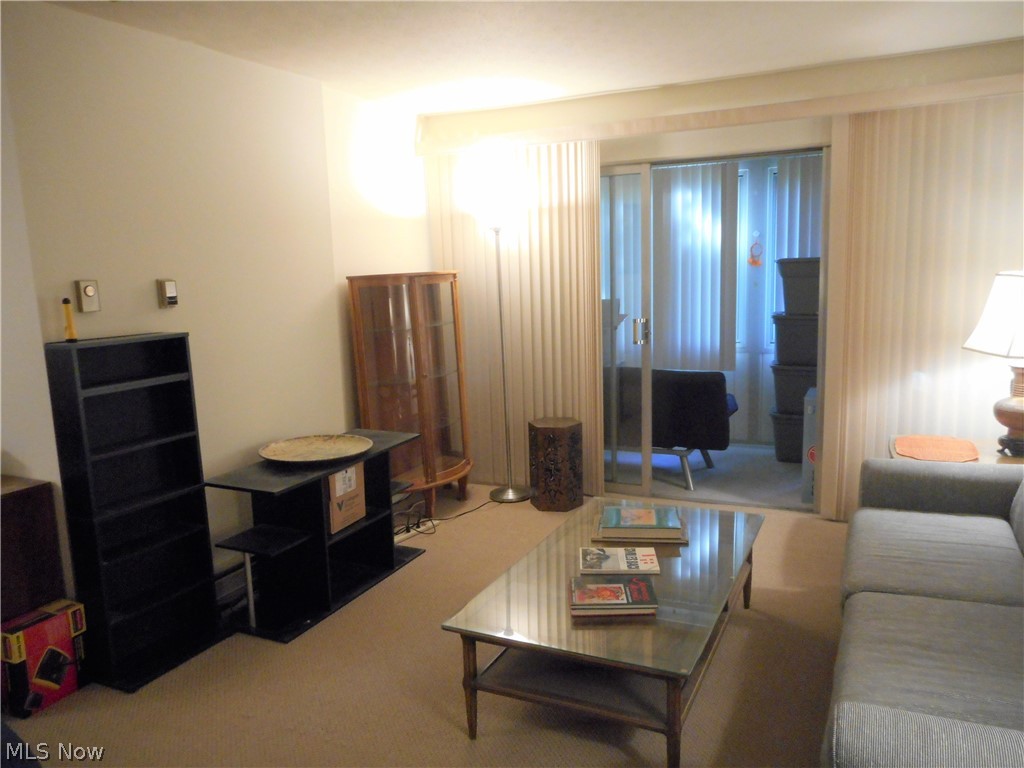 Silver Lake Towers Condo - Residential