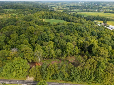 Tiny photo for 2959 Rohrer Road, Wadsworth, OH 44281 (MLS # 5246801)