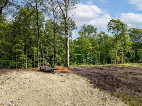 Photo of 2959 Rohrer Road, Wadsworth, OH 44281 (MLS # 5246801)