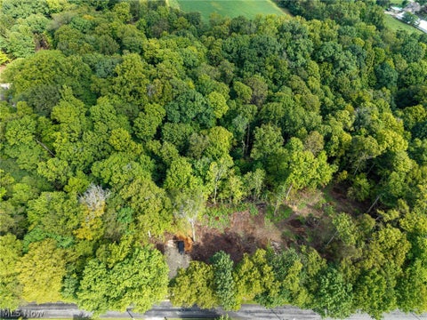 Tiny photo for 2959 Rohrer Road, Wadsworth, OH 44281 (MLS # 5246801)