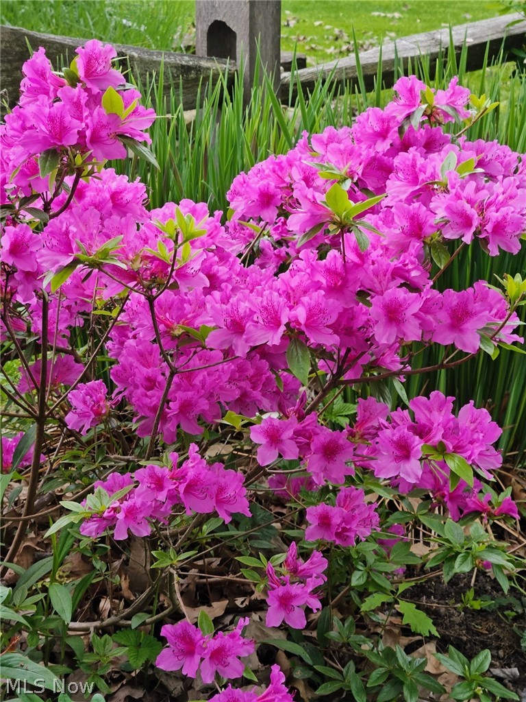 Farleys Sub 2 - Residential