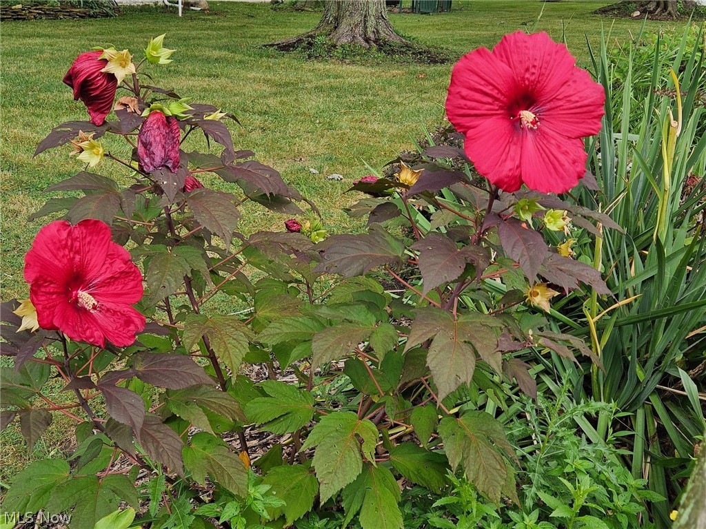 Farleys Sub 2 - Residential