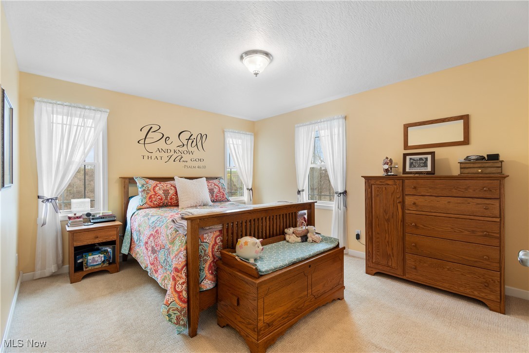 63626 Brads Way Way, Barnesville, Ohio image 18