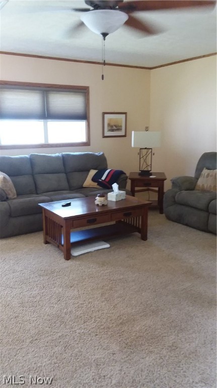 Nash Heights Estates - Residential