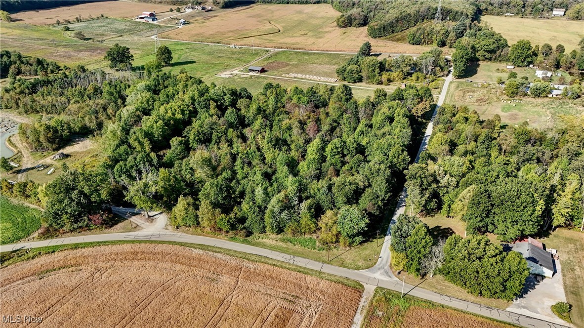 Shetler Avenue, Navarre, Ohio image 1