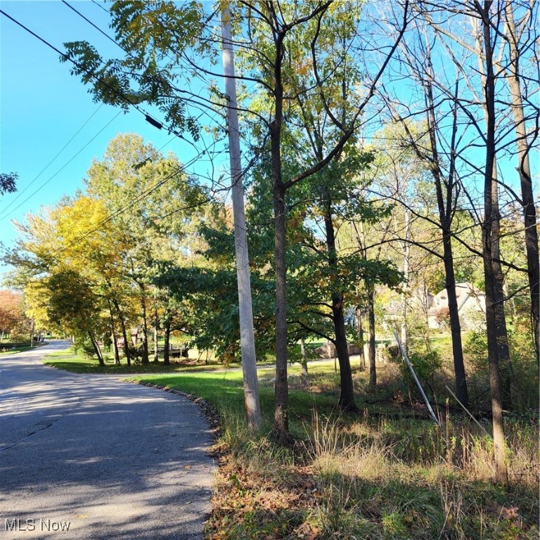 Blueberry Hill Drive, Canfield, Ohio image 3