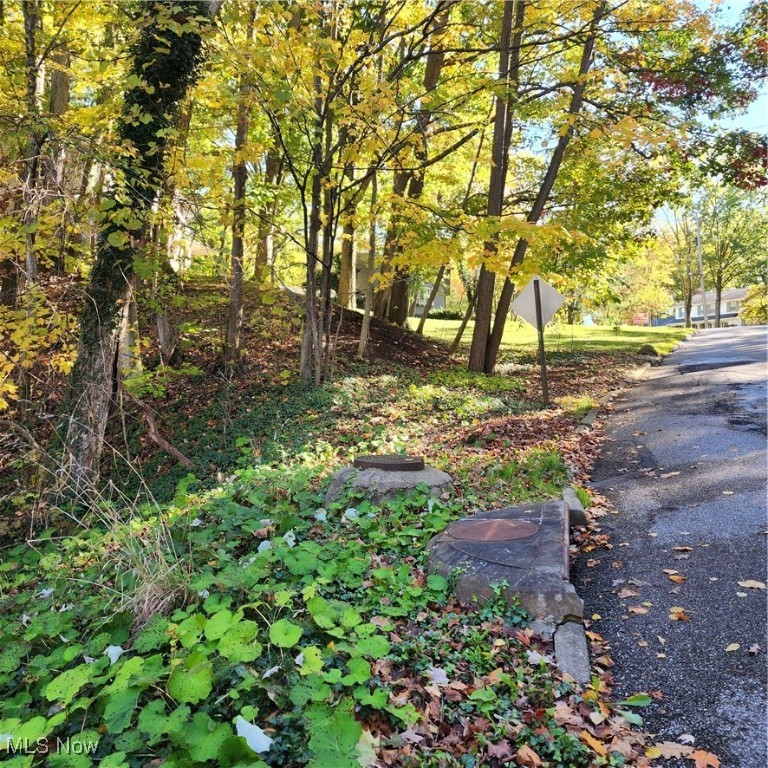 Blueberry Hill Drive, Canfield, Ohio image 4