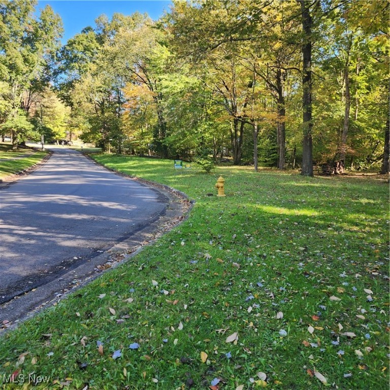 Blueberry Hill Drive, Canfield, Ohio image 7