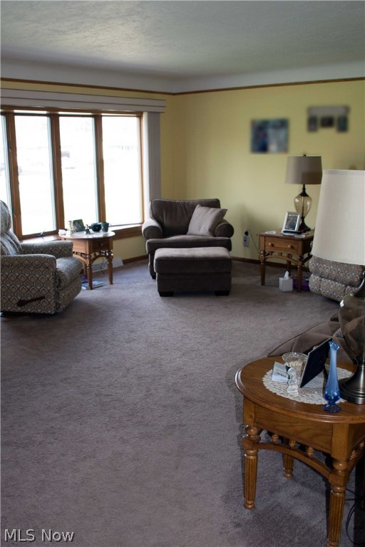 Middleburgh Sec 02 - Residential