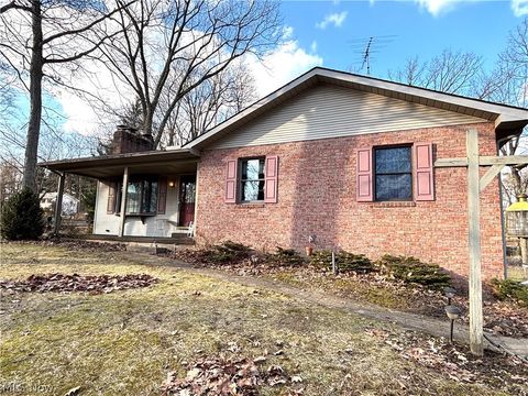 Homes For Sale - 42900 Woodvale Lane<br/> Columbiana, OH 44408