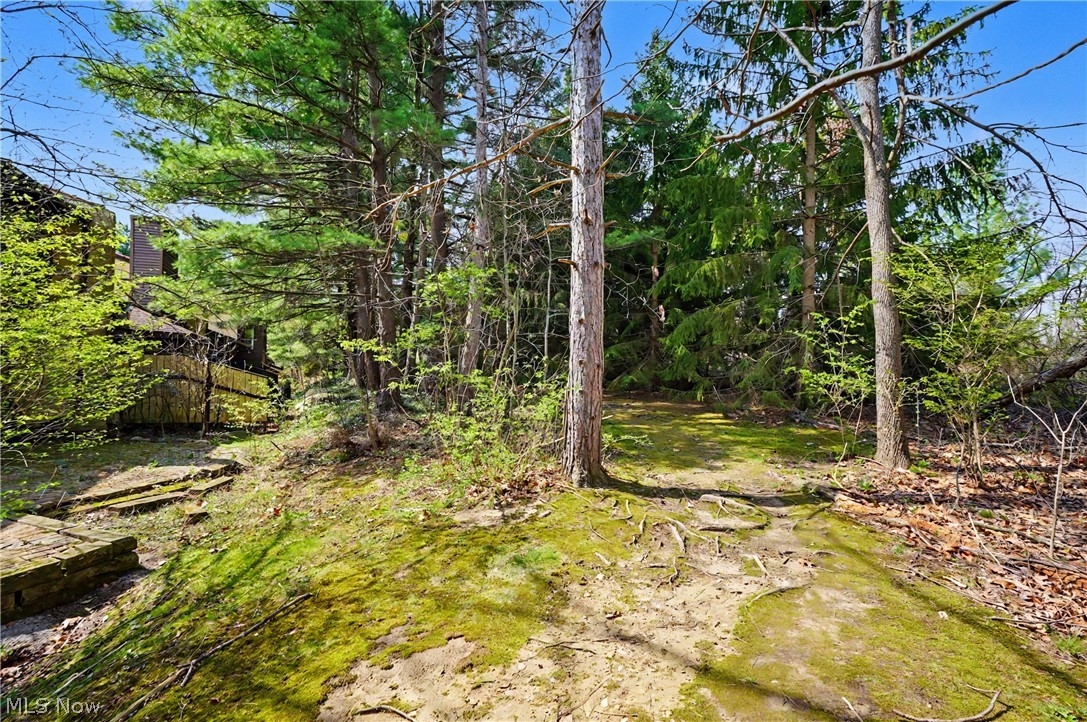 Hampton Woods - Residential