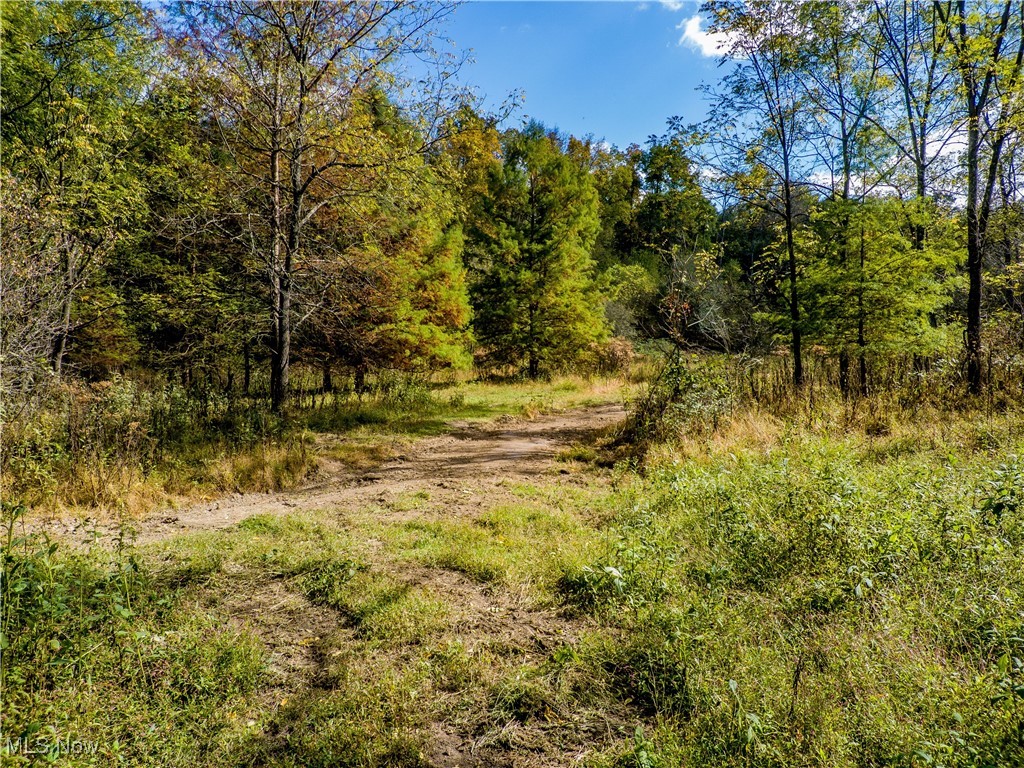 19714 County Road 18, Warsaw, Ohio image 9