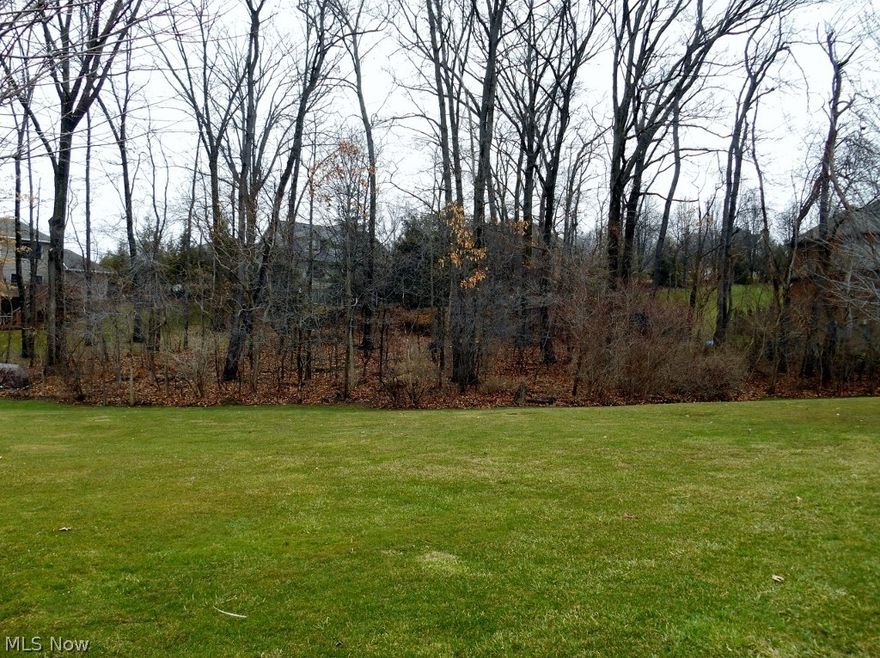The Meadows at Nobles Pond Number Three, Lot#64 is a .48 acre partially cleared property located on Chatsworth St NW in Jackson Township. Build your dream home in this beautiful location.