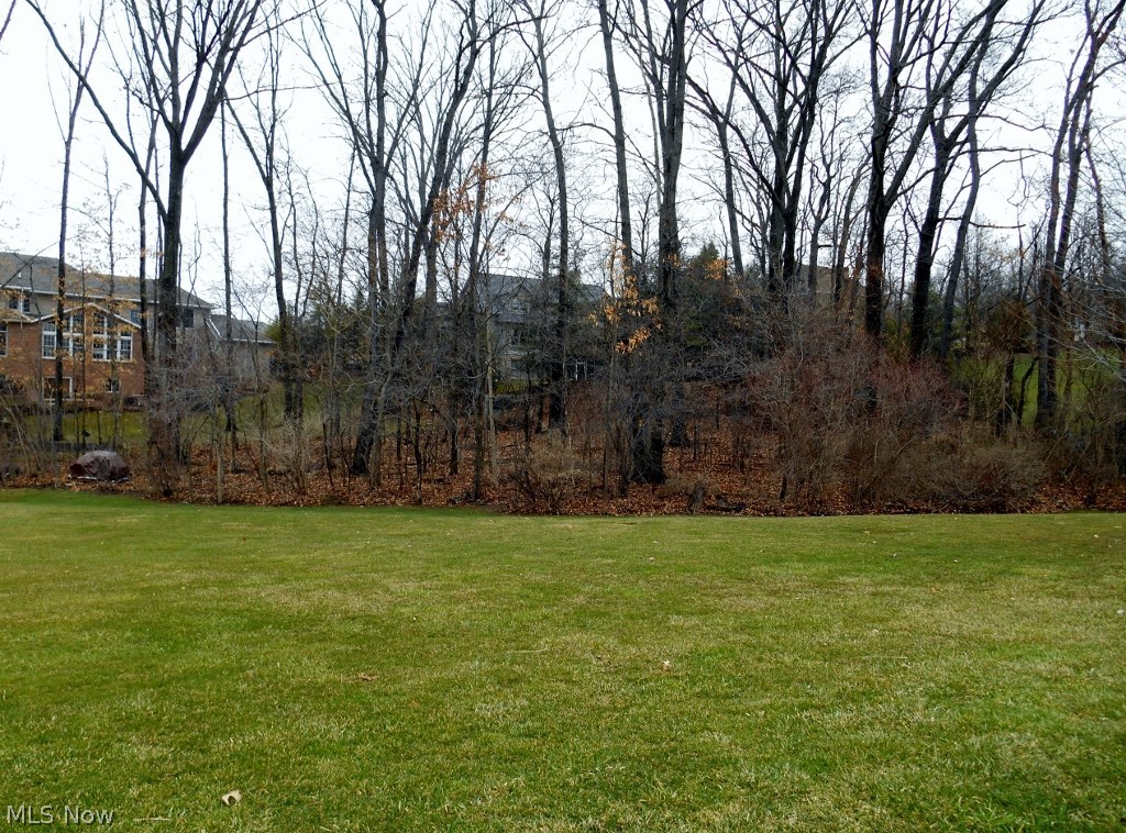 Meadows At Nobles Pond - Land