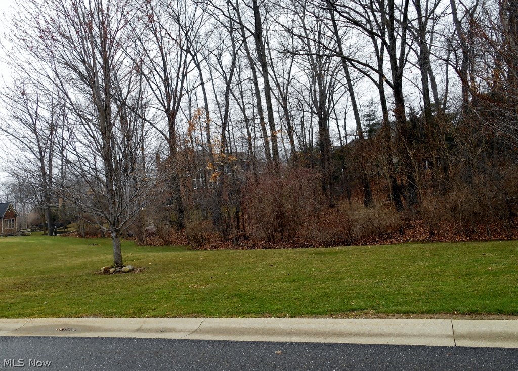 Meadows At Nobles Pond - Land