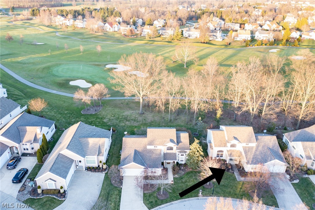 Woods At Ethans Green Cluster - Residential