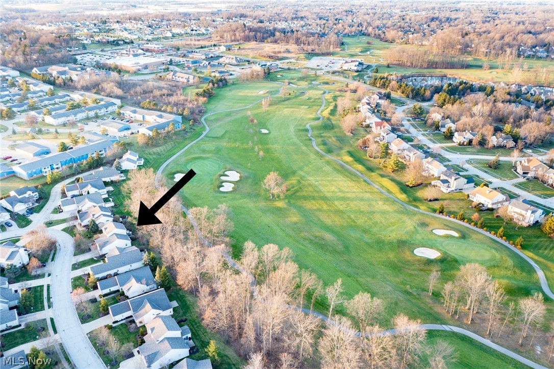 Woods At Ethans Green Cluster - Residential