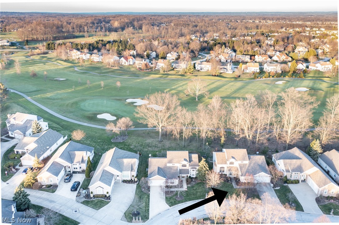 Woods At Ethans Green Cluster - Residential