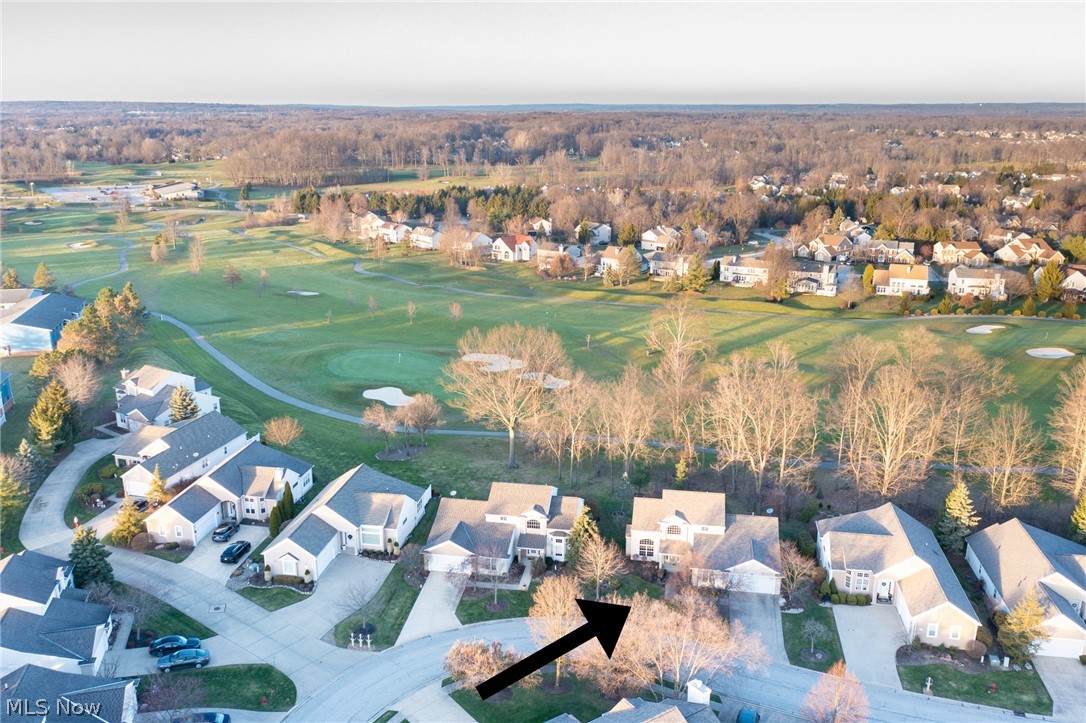 Woods At Ethans Green Cluster - Residential