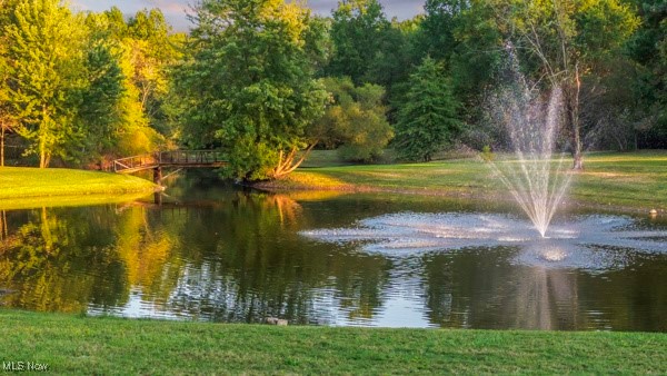 Township/Springfieldsec 22 - Residential