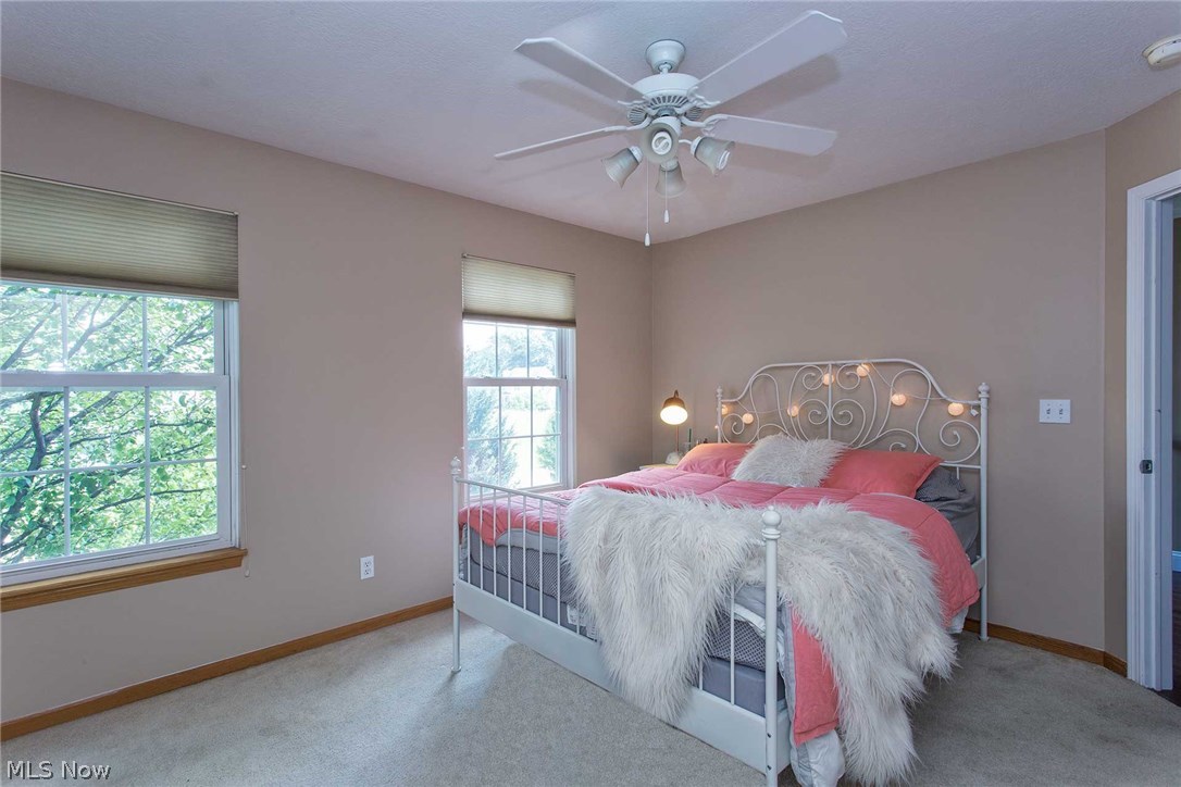 Hayes Mirasol Estates - Residential