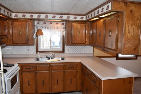 Tiny photo for 70799 Bannock Uniontown Road, St Clairsville, OH 43950 (MLS # 5179003)