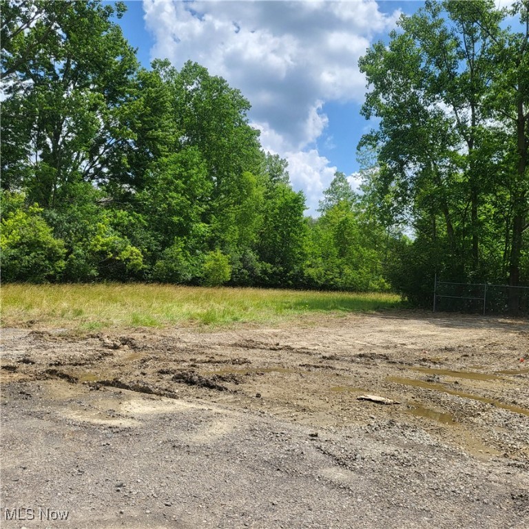 Investment Portfolio! Compliment yours today with this nearly 2 acre parcel in Amherst Township, currently leased to a propane company. Perfectly situated among single family homes and commercial properties, offers easy access to major highways, churches, schools, shopping, restaurants, theater, historic downtown Amherst and so much more. It's up to you to create a diverse profitable future. Drive by today!