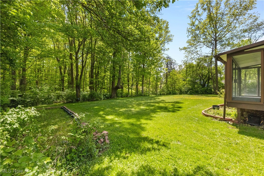 11824 Plum Ridge Drive, Hiram, Ohio image 39