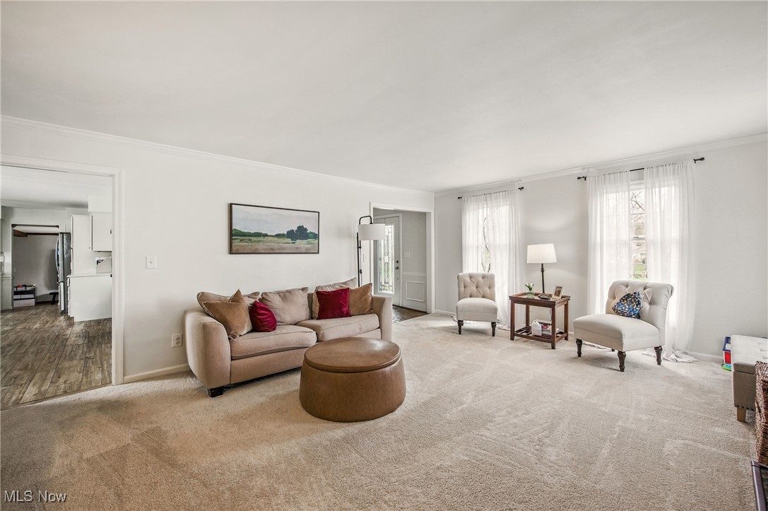 880 Blueberry Hill Drive, Canfield, Ohio image 12