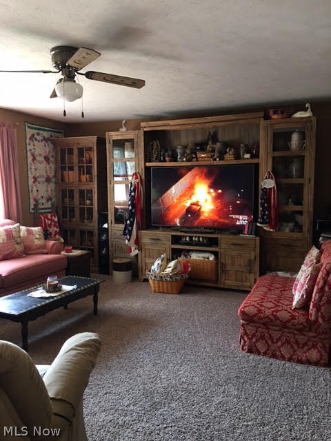 Pahlhurst Plaza Adn - Residential