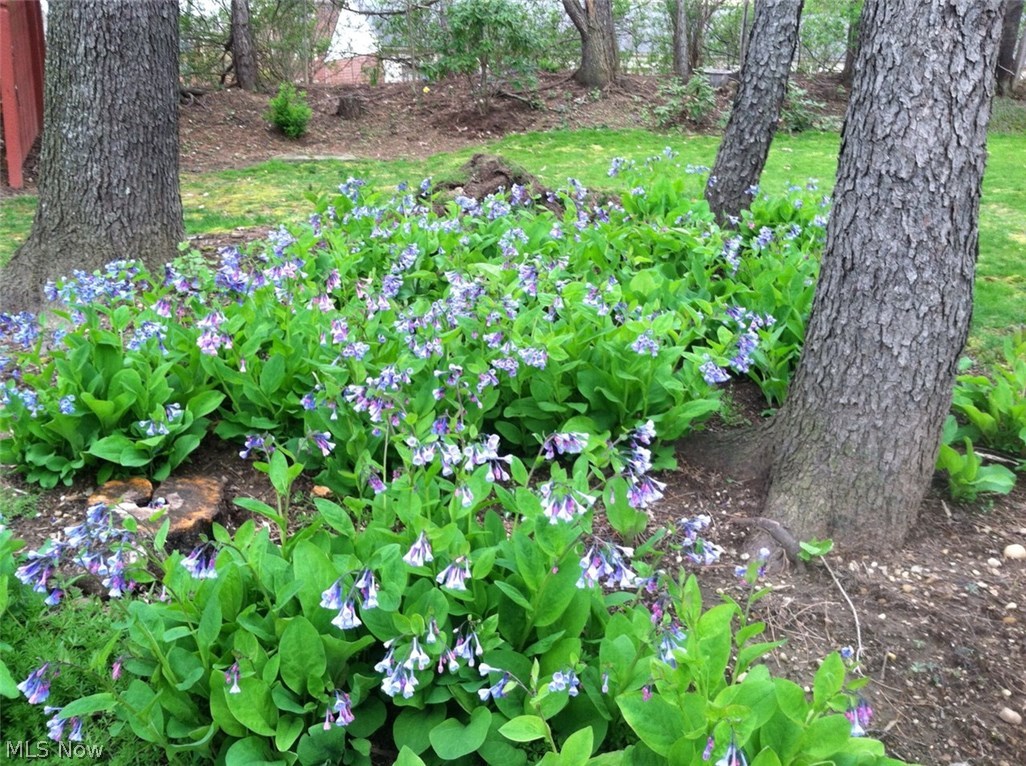 North Canton - Residential