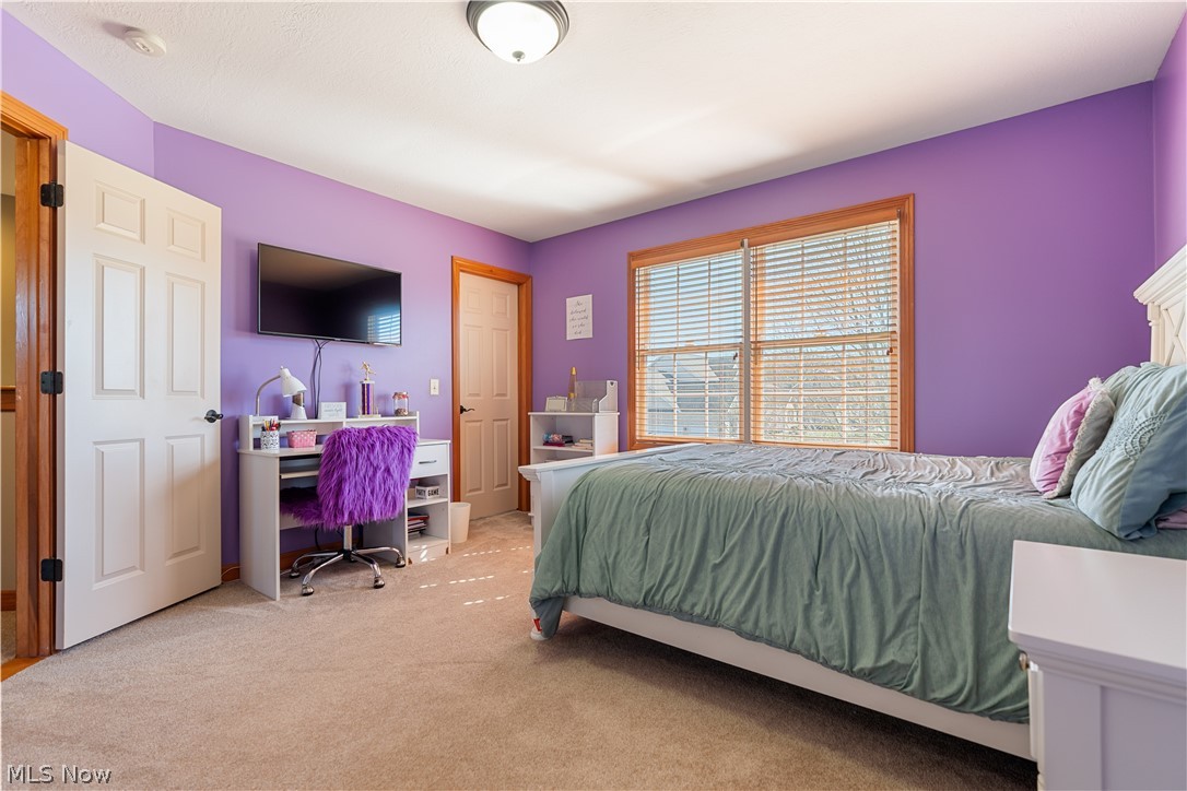 Scotsbury Hills Allotment - Residential