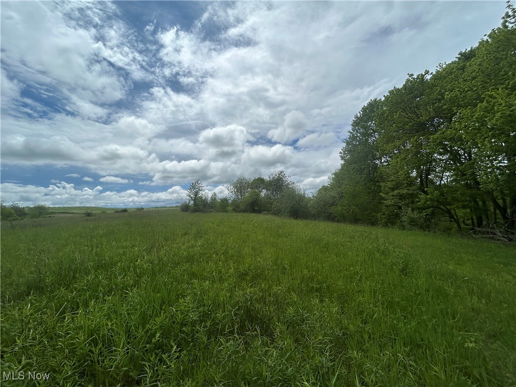 67655 Geese Road, Cambridge, Ohio image 3