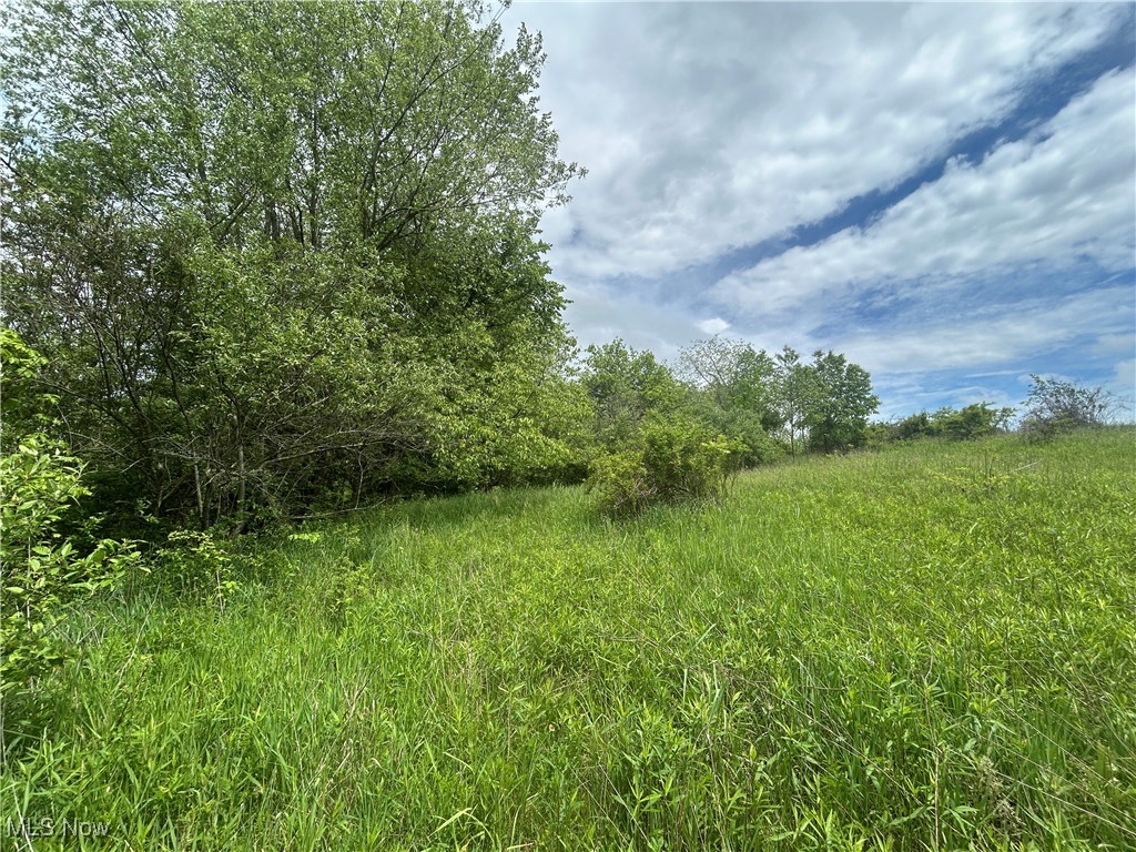 67655 Geese Road, Cambridge, Ohio image 7