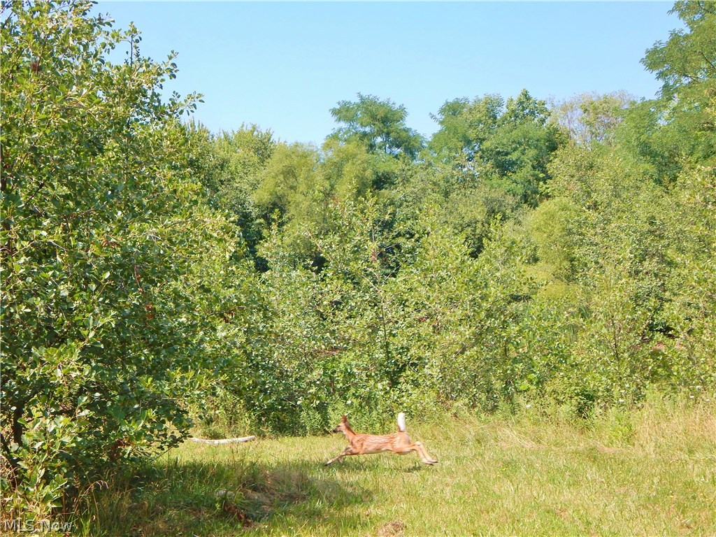 Strongsville - Residential