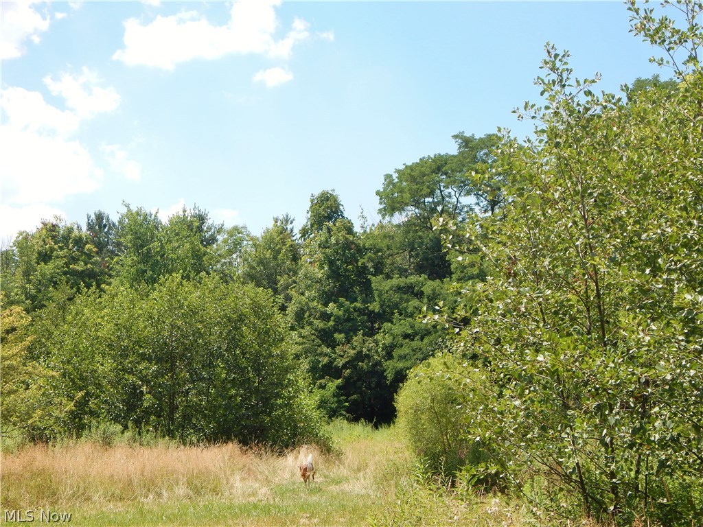 Strongsville - Residential