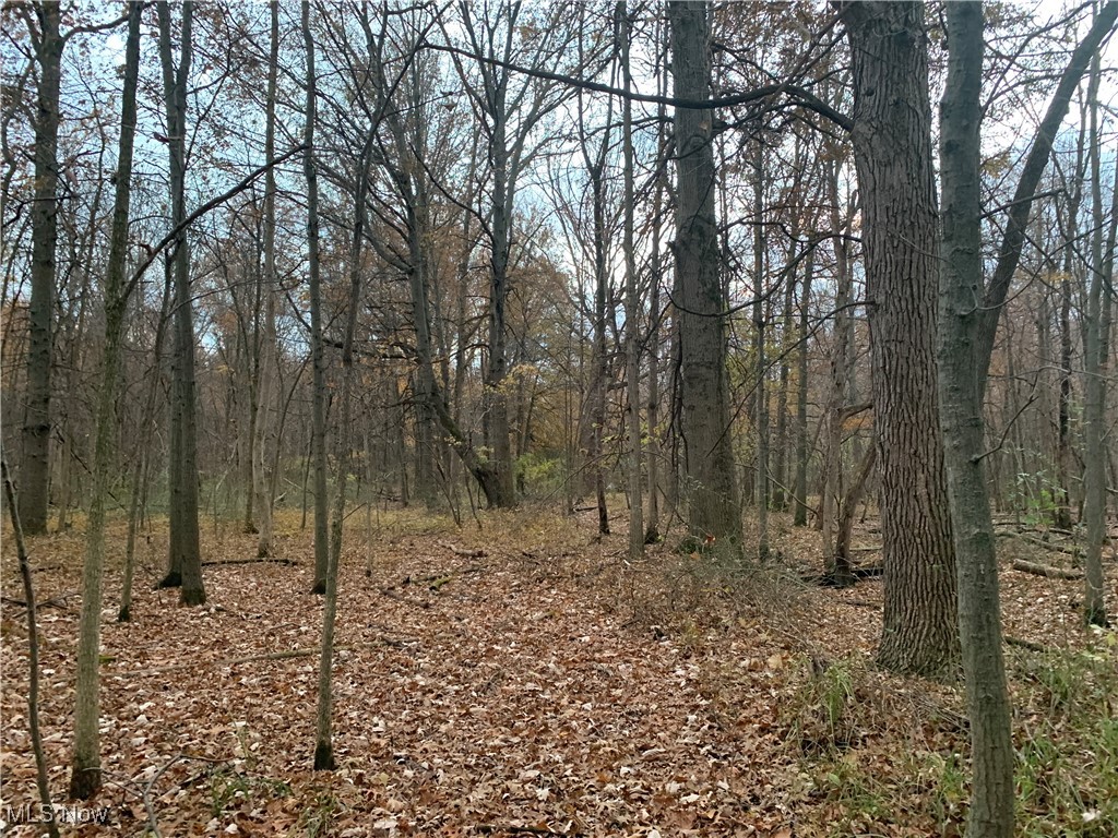 Opportunities like this do not come up often with this property’s location to Lake Erie and being zoned industrial! Great access off a dead-end street makes entering the property a breeze. Flat terrain is ideal for getting around the property and providing opportunities for development. Property features mature timber and thick cover perfect for holding wildlife. Excellent deer sign seen as you walk throughout the property.