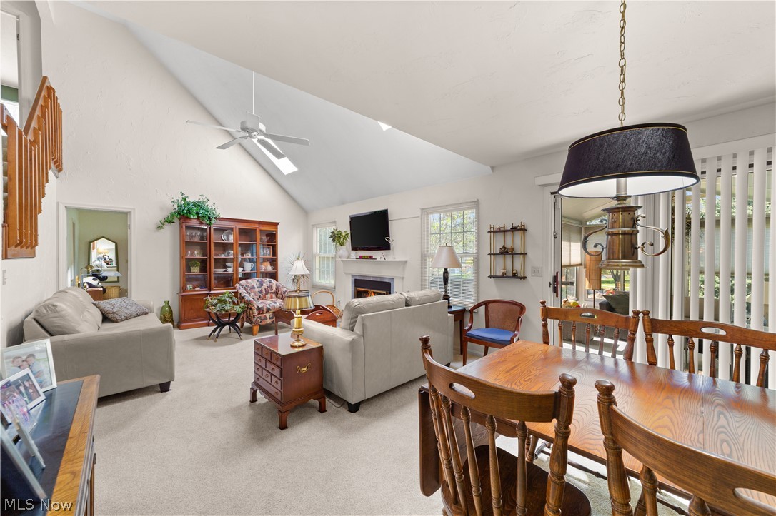 Halle Pointe Condo - Residential