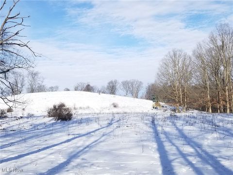 Vacant Land For Sale - Lewis Road<br/> Columbiana County, Salineville, OH 43945