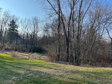 Vacant Land For Sale - 49th Street<br/> Stark County, Canton, OH 44706