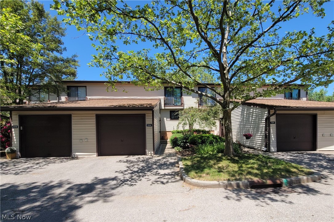 Pine Hill Condo - Residential