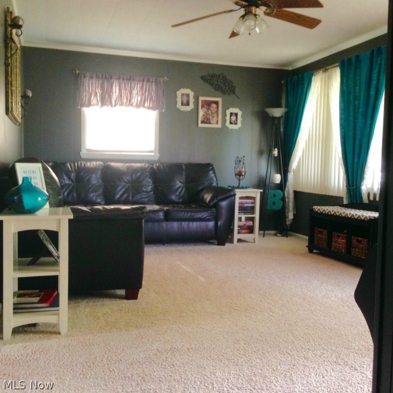 Fairview - Residential