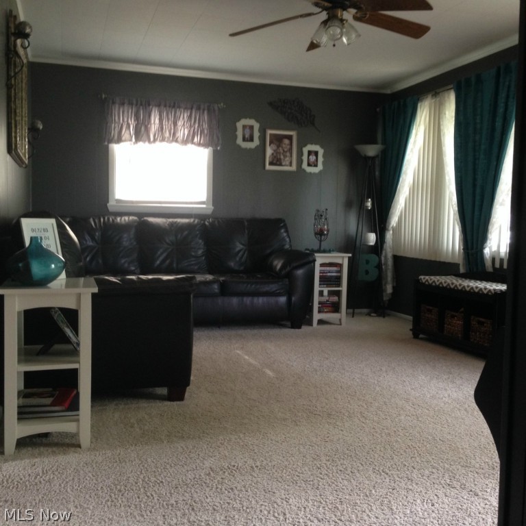 Fairview - Residential