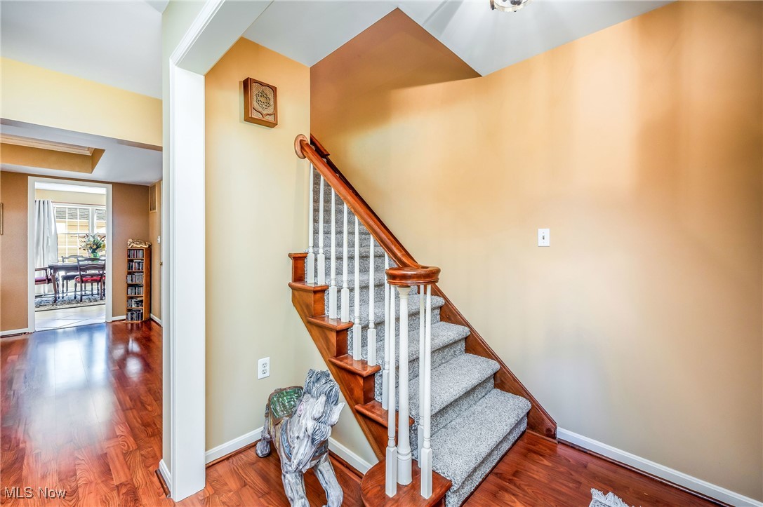 Talsman Woods Condo - Residential