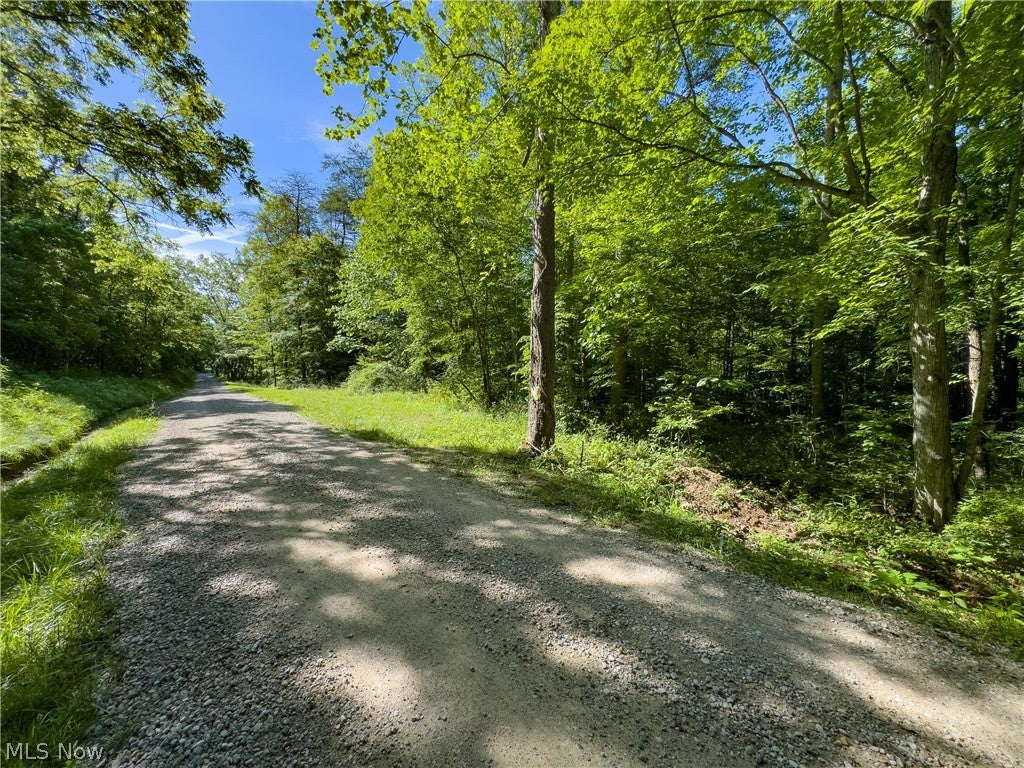 Tract 2 Jake Road