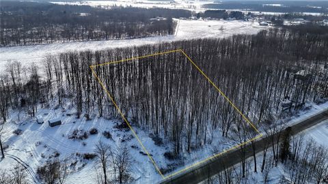 Vacant Land For Sale - 3522 Footville Richmond Road<br/> Ashtabula County, Dorset, OH 44032