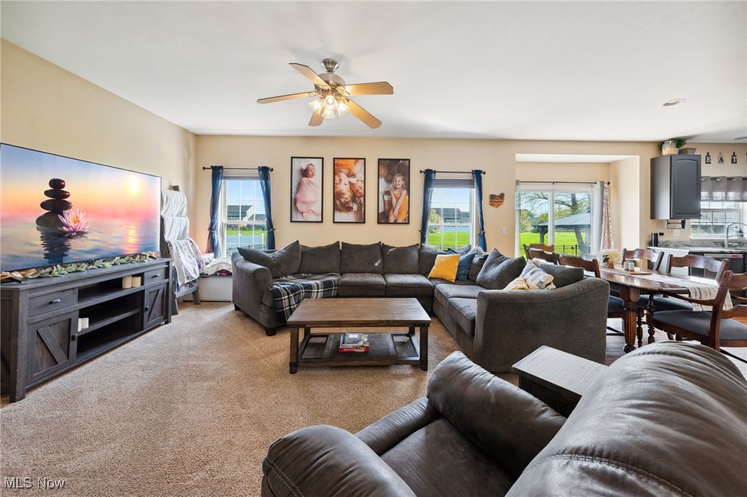 37861 Pebble Lake Trail, North Ridgeville, Ohio image 13