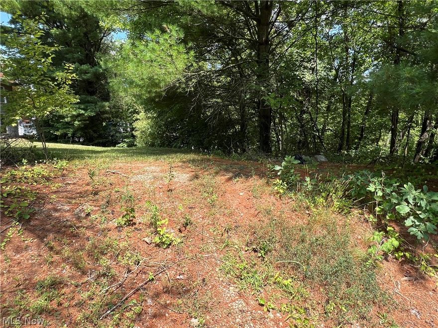 This lot is 48x 80 w driveway started,   Would make a great building site with some woods mostly level lot    Has sewer installed and water and electric available in the area.    Located on a corner secondary lot.  Paved road.   Lot #103. Check building and zoning codes before building on lot.  And short walking distance to the lake access  where there’s a place to swim and relax in a private area.  no boat slip with the lot currently but can be put on a waiting.