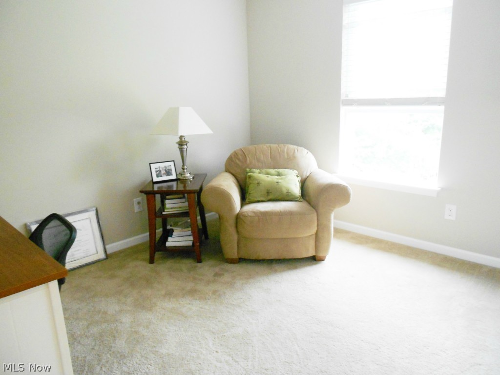 Pleasant Lakes/Brimfield - Residential