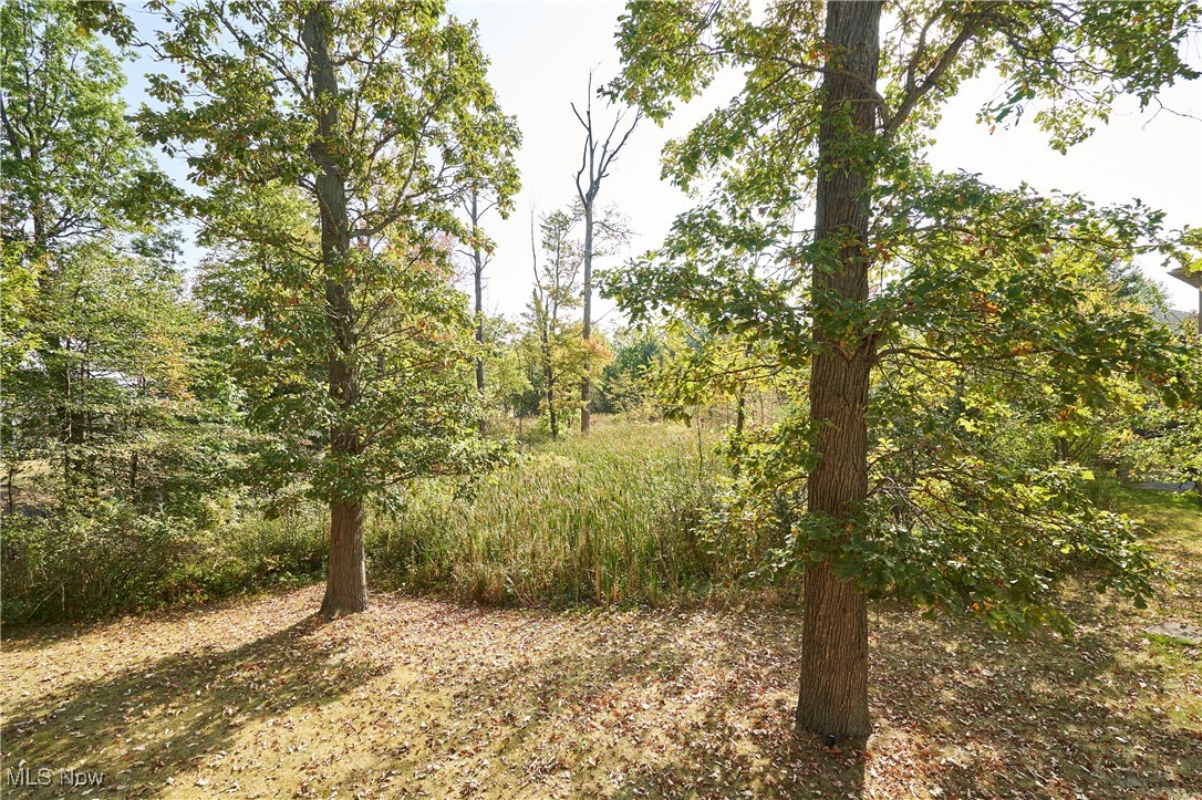 The Enclave at Rosemont Ridge - Residential